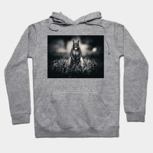 Squirrel Collecting Nuts Photograph Hoodie